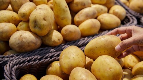 Ceny zemiakov prudko rastú – mal by sa svet obávať?