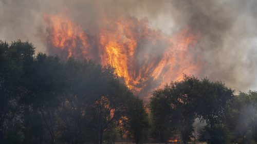 Lesné požiare si vynútili masové evakuácie vo Francúzsku a Španielsku (VIDEÁ)