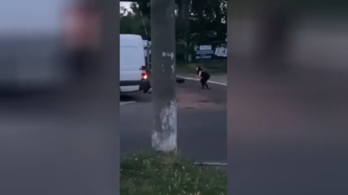 Ukrajinský odvodový gang údajne strieľal a zrazil ženy (DESIVÉ VIDEO) - Toto VIDEO si musíte nájsť sami na internete.