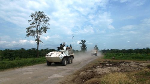 Konžská demokratická republika a Rwanda sa stretli kvôli plánu odzbrojenia rebelov