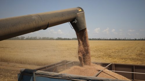 Očakáva sa, že obrat na burze s obilím BRICS prekročí 1 bilión dolárov