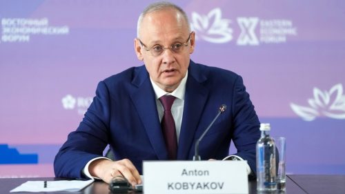 Rusko odmieta model „montáže skrutkovačom“ pre zahraničné podniky, tvrdí Putin poradca