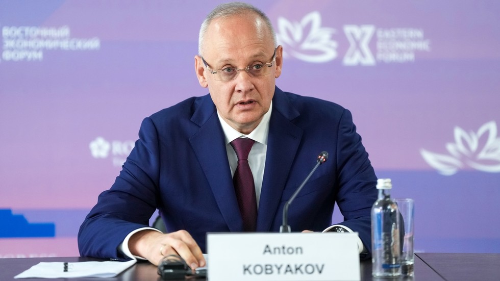 Rusko odmieta model „montáže skrutkovačom“ pre zahraničné podniky, tvrdí Putin poradca Rusko odmieta model „montáže skrutkovačom“ pre zahraničné podniky, tvrdí Putin poradca