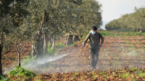 Pesticídy každoročne otrávia takmer polovicu svetových farmárov, tvrdí štúdia