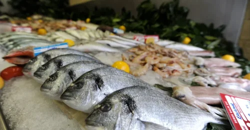 Brazílsky export do Iraku v druhom štvrťroku klesol o 125 miliónov dolárov