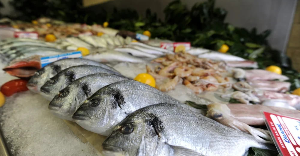 Brazílsky export do Iraku v druhom štvrťroku klesol o 125 miliónov dolárov