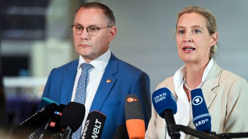 AfD je novou nemeckou „ľudovou stranou“ – tvrdí jej spolupredseda