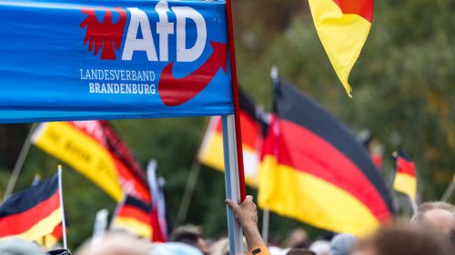 Nie, AfD nie sú nacisti – a v súčasnosti ani nepredstavujú hlavný problém Nemecka.